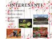 Prezentācija 'Prezentācija par Japānu', 10.