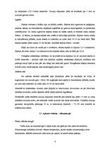 Referāts 'Tehniskās apsekošanas atskaite', 6.