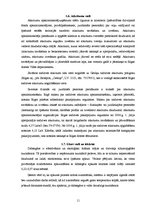 Referāts 'Tehniskās apsekošanas atskaite', 11.