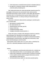 Referāts 'Tehniskās apsekošanas atskaite', 14.