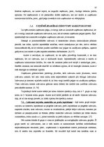 Diplomdarbs 'Ieņēmumu un izdevumu analīze un uzskaites pilnveide uzņēmumā', 17.