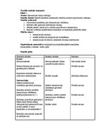 Konspekts '2.klases vizuālās mākslas konspekts', 1.