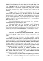 Referāts 'Vasarāji', 5.