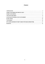 Referāts 'Accountant', 2.