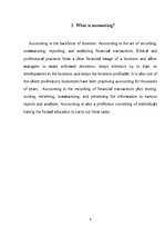 Referāts 'Accountant', 5.