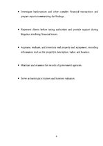 Referāts 'Accountant', 8.