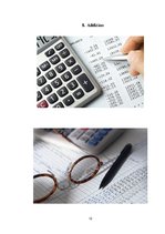 Referāts 'Accountant', 12.