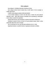 Konspekts 'Apdegumi', 4.