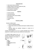 Konspekts 'Apdegumi', 6.