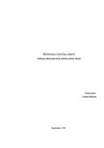 Referāts 'Modernisms Latvijas mākslā', 1.