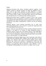 Referāts 'SIA "RIMI Latvia" mārketinga komunikācija', 4.