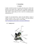 Referāts 'Apskata Referāts', 4.