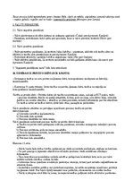 Konspekts 'Starptautisko cilvēktiesību pamati', 13.