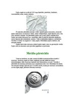 Referāts 'Atkritumu apsaimniekošana', 6.