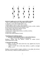 Konspekts 'Kinezioloģija - sporta soļošanas analīze', 5.