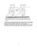 Konspekts 'Kinezioloģija - sporta soļošanas analīze', 7.