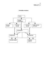 Diplomdarbs 'Vietējo pašvaldību tiesiskā regulācija Eiropas Savienībā', 107.