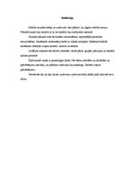 Konspekts 'latv. val nodarbības konspekts 3. klasei', 5.