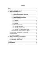 Referāts 'Saldus rajona Zvārdes pagasta pašreizējā situācija un attīstības iespējas', 2.