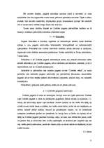 Referāts 'Saldus rajona Zvārdes pagasta pašreizējā situācija un attīstības iespējas', 11.