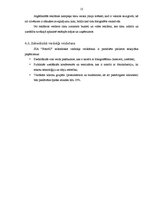 Biznesa plāns 'Biznesa plāns uzņēmējdarbības pamatos', 12.