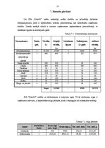 Biznesa plāns 'Biznesa plāns uzņēmējdarbības pamatos', 16.