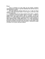 Prakses atskaite 'Atskaite par tehnoloģisko praksi uzņēmumā', 13.