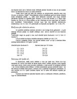 Prakses atskaite 'Atskaite par tehnoloģisko praksi uzņēmumā', 15.