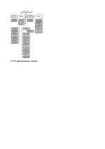 Konspekts 'Muitas darbības organizācija un kontrole', 6.