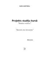 Biznesa plāns 'Projekts "Dienvidu tilta būvēšana"', 1.