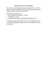 Biznesa plāns 'Projekts "Dienvidu tilta būvēšana"', 20.