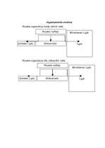 Biznesa plāns 'Projekts "Dienvidu tilta būvēšana"', 21.