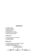 Biznesa plāns 'Projekts "Dienvidu tilta būvēšana"', 22.