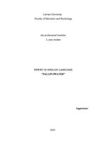 Referāts 'House in America "Fallingwater"', 1.