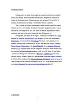 Referāts 'House in America "Fallingwater"', 5.