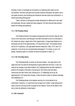 Referāts 'House in America "Fallingwater"', 14.