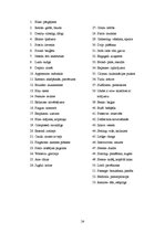 Referāts 'House in America "Fallingwater"', 24.