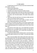 Diplomdarbs 'Eiro. Vienotas Eiropas valūtas ieviešana Latvijā', 6.