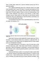 Diplomdarbs 'Eiro. Vienotas Eiropas valūtas ieviešana Latvijā', 29.