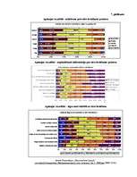 Diplomdarbs 'Eiro. Vienotas Eiropas valūtas ieviešana Latvijā', 90.