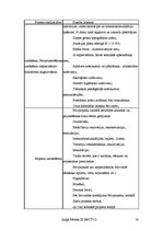 Prakses atskaite 'Prakses atskaite ceļu būvē', 14.