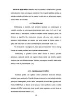 Referāts 'Būvmateriāli: jumta konsrukcijas un segumi', 20.