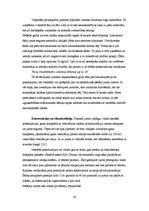 Referāts 'Būvmateriāli: jumta konsrukcijas un segumi', 30.