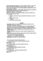 Konspekts 'Grāmatvedība', 4.