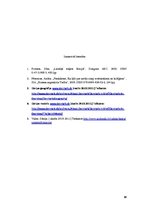 Referāts 'Komunikācija ar Dānijas kultūras pārstāvjiem', 10.