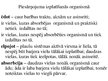 Prezentācija 'Ekotoksikoloģija - viena no vides zinātnes apakšnozarēm', 10.