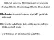 Prezentācija 'Ekotoksikoloģija - viena no vides zinātnes apakšnozarēm', 48.