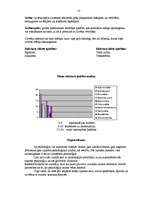 Referāts 'Personības attīstības un socializācijas process', 13.