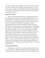 Referāts 'Muguras smadzenes', 4.