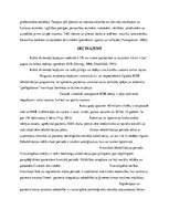 Referāts 'Muguras smadzenes', 8.